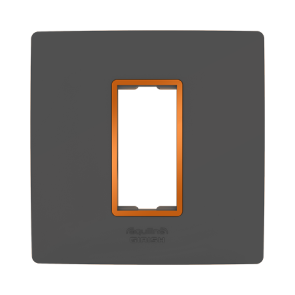 AshGrey Aquiline Plate With Night Vision Technology