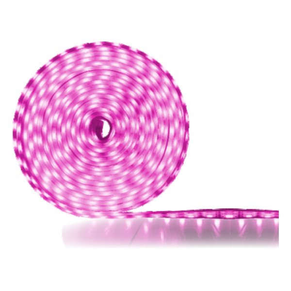 10 Meter Led Rope Light Baby Pink