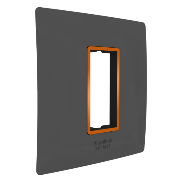 AshGrey Aquiline Plate With Night Vision Technology