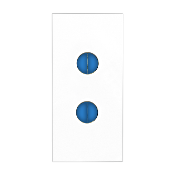 6 Amperes Two Pin Socket with Shutter