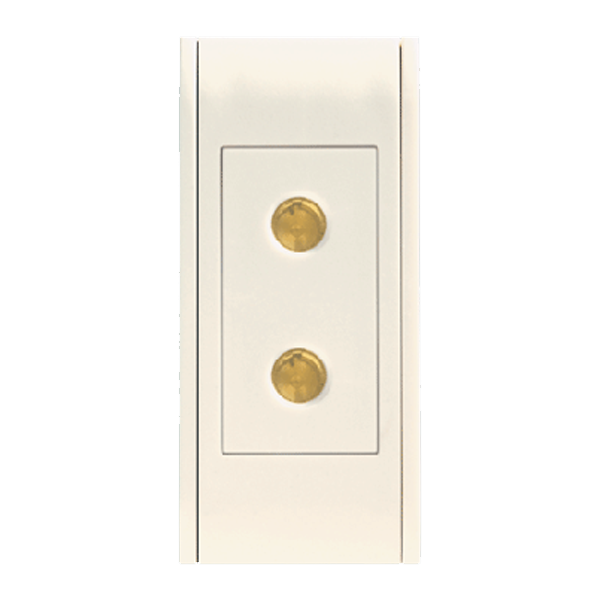 Two Pin Socket