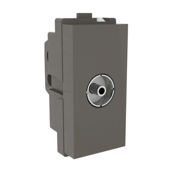 Vox Dark Fascination