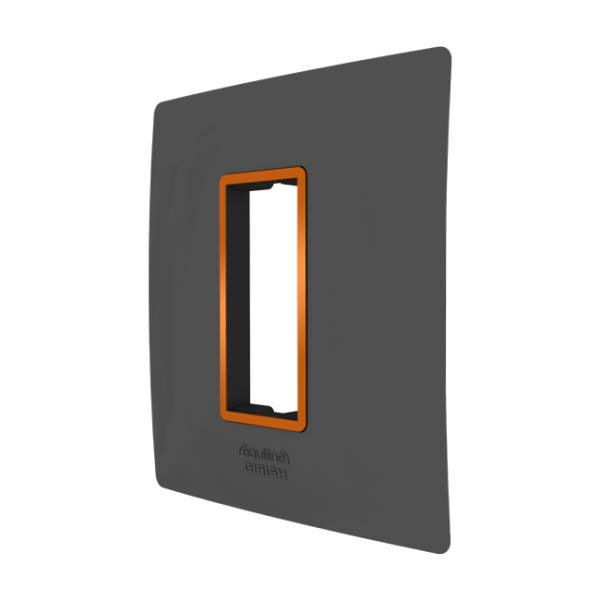 AshGrey Aquiline Plate With Night Vision Technology