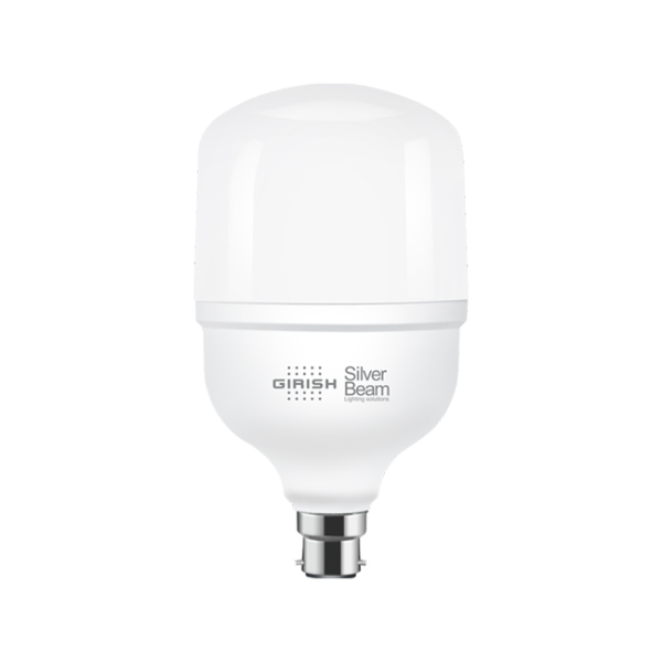 30 Watt Led Lamp B22 Light Warm White