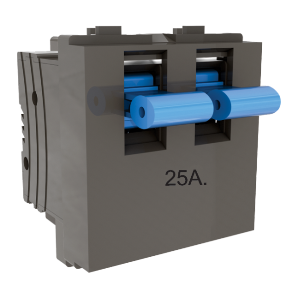 Vox Dark Fascination