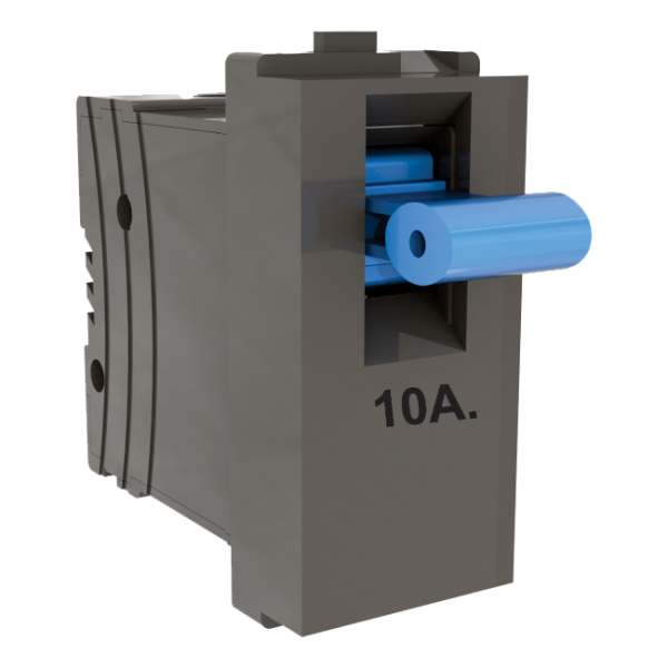 Vox Dark Fascination