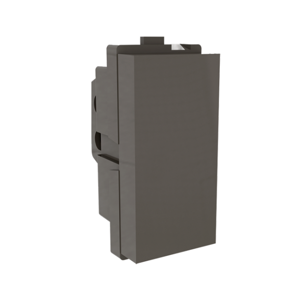 Vox C2C Dark Fascination