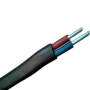 10.00 SQ MM FLAT PVC INSULATED SHEATHED TWO CORE CABLE