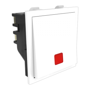 Switch With Indicator